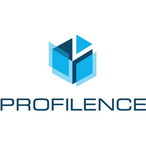 Sales Executive